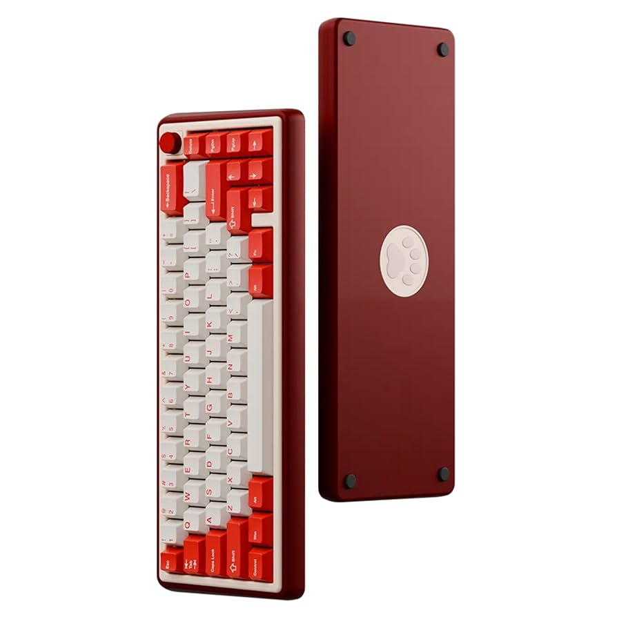 Amazon.com: OOCTPK Chilkey Foxy65 Mechanical Keyboard with